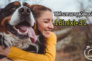 นักวิทยาศาสตร์ค้นพบหลักการคำนวณอายุสุนัขแบบใหม่ ลบล้างความเชื่อ 1=7